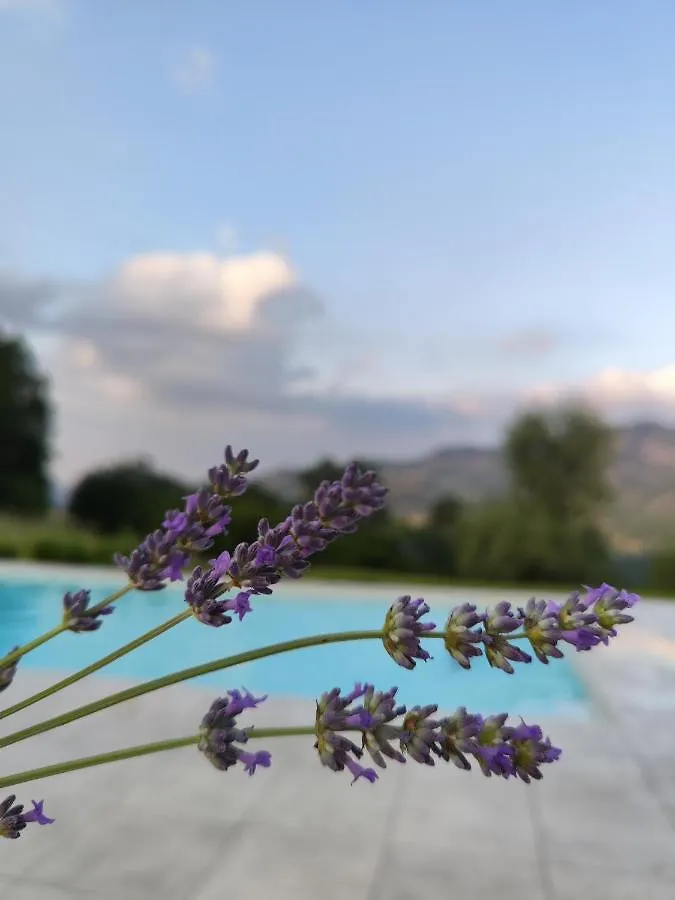 Villa Il Torrione del trebbia Bobbio Alloggio per agriturismo
